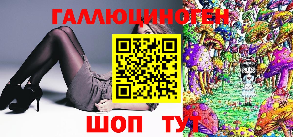 Псилоцибиновые грибы Psilocybine cubensis Снежинск